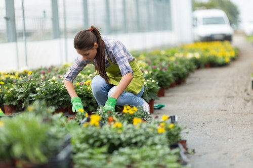 Front view of gardeners preparing a site for sustainable waste segregation in Crystal Palace