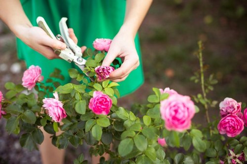 Gardeners trimming a hedge with safety gear